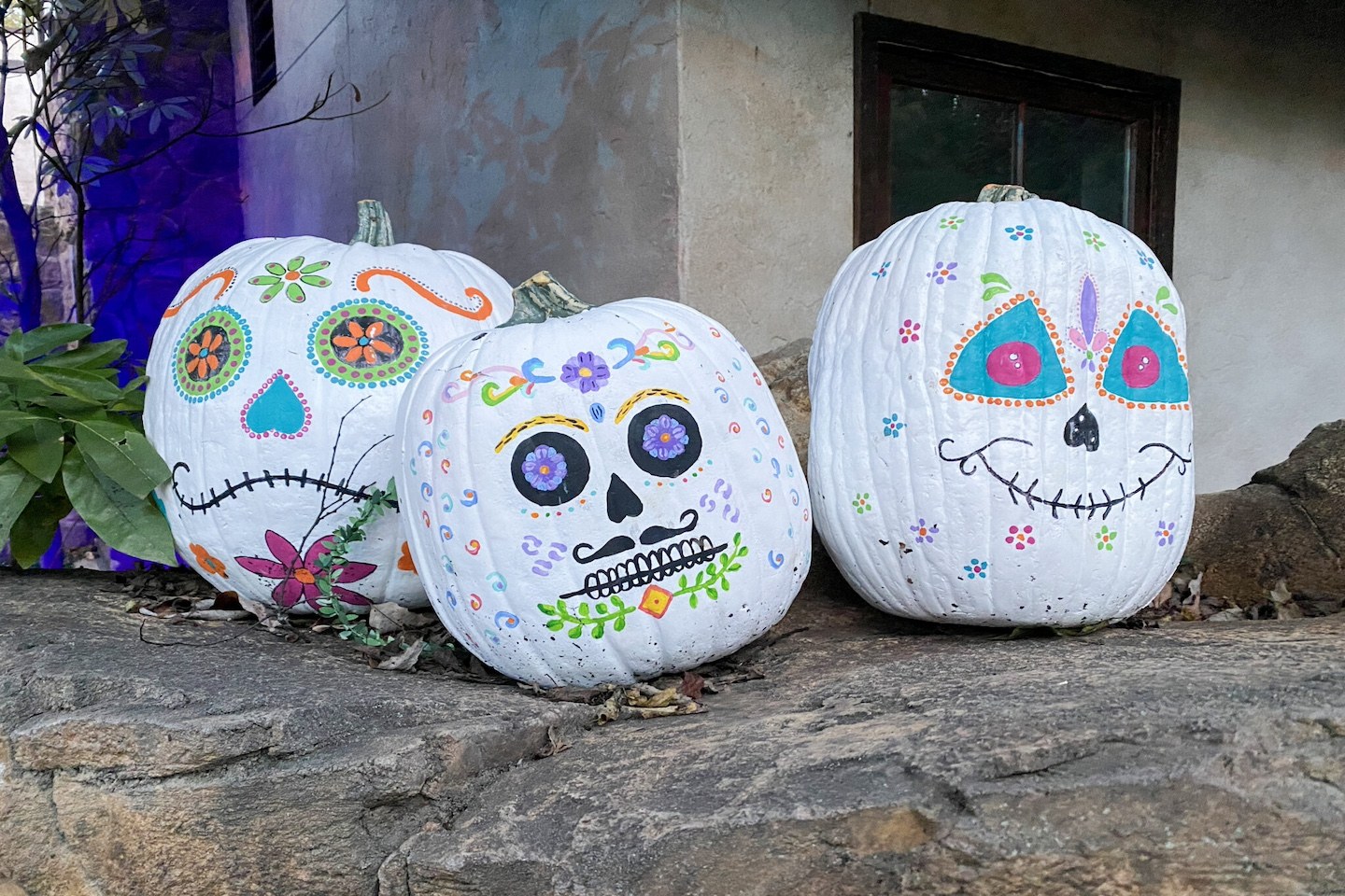 Boo at the Zoo · Oct 16–Nov 1