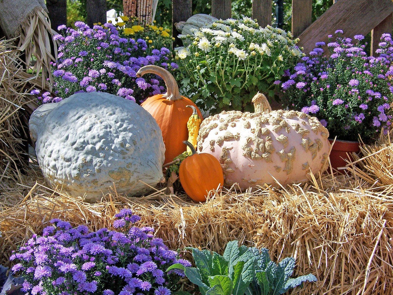 9 Joseph Rd Halloween Display