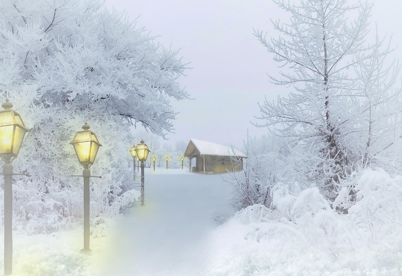 Maloney Lights