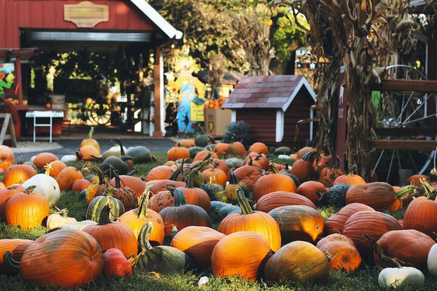 Halloween Nights at Eastern State Penitentiary — 2027 Fairmount Avenue