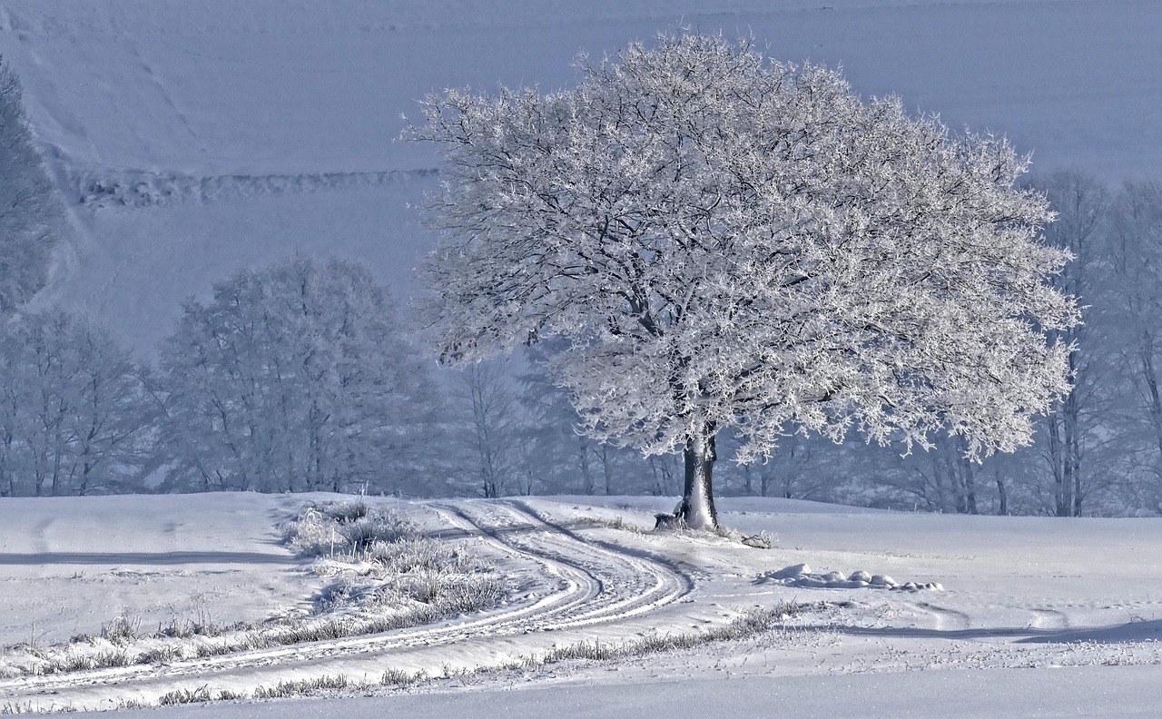 Christmas on Stony Point