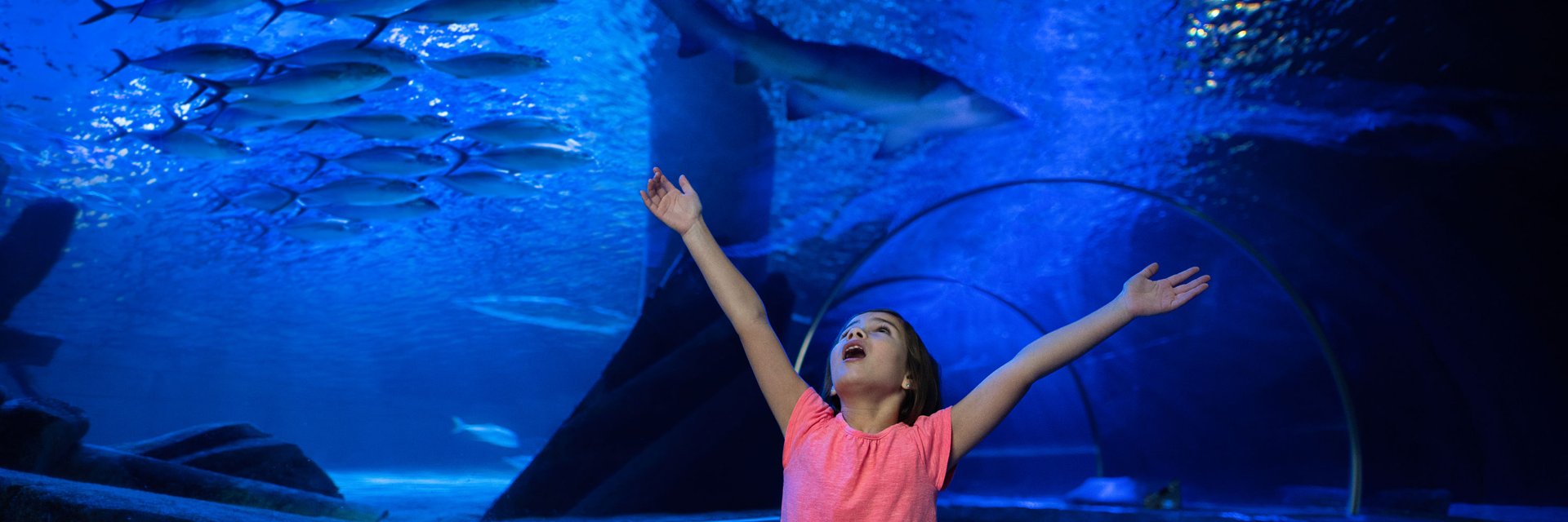 Tricks & Treats Halloween Event — SEA LIFE San Antonio · Oct 17-Nov 1