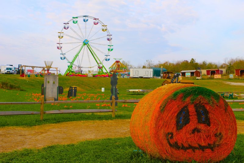 Great Pumpkin Festival at Heaven Hill Farm — September 12 – November 8, 2026 (select days