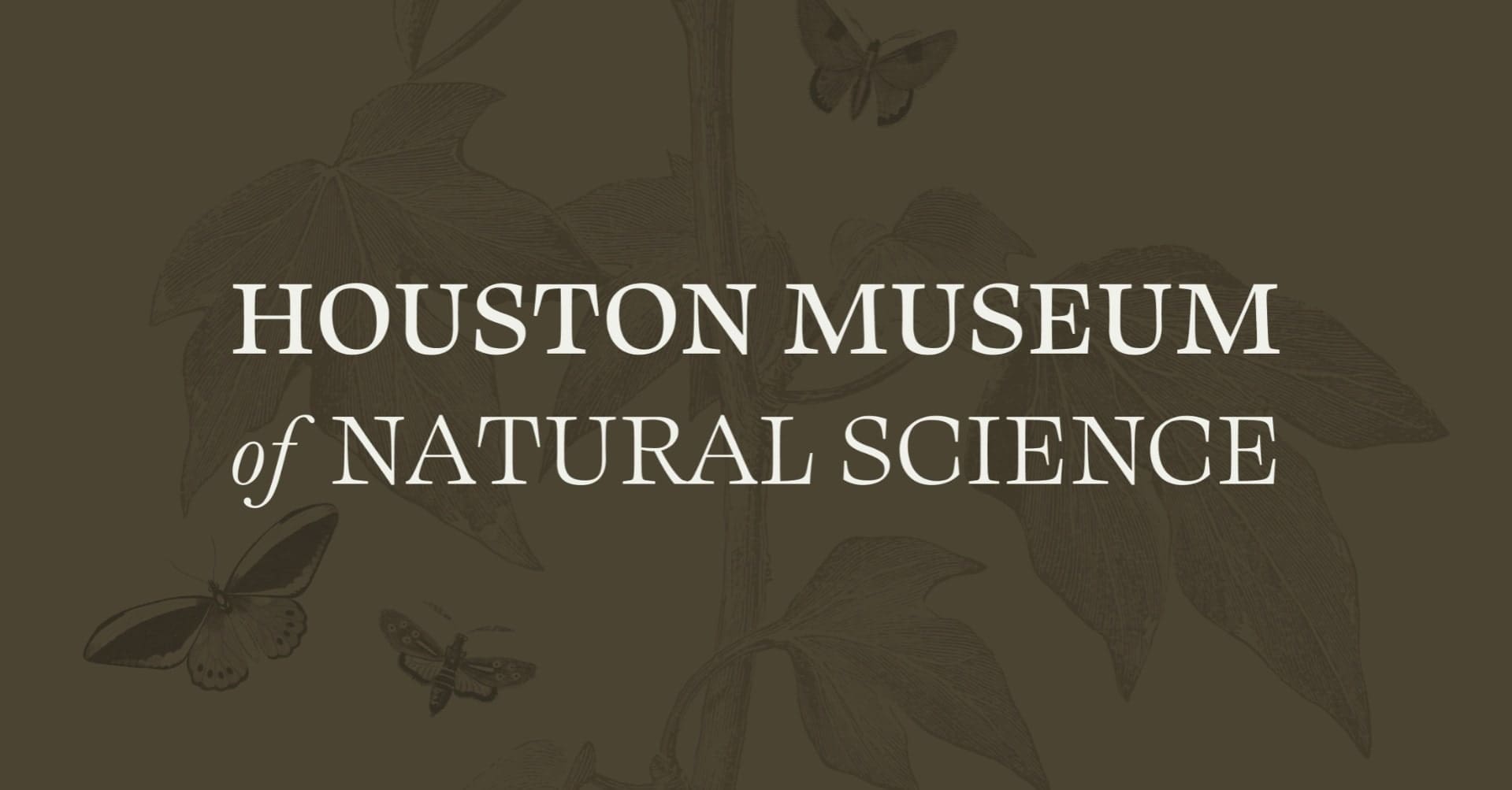 Mixers & Elixirs: Spirits & Skeletons — Houston Museum of Natural Science · Sat Oct 31