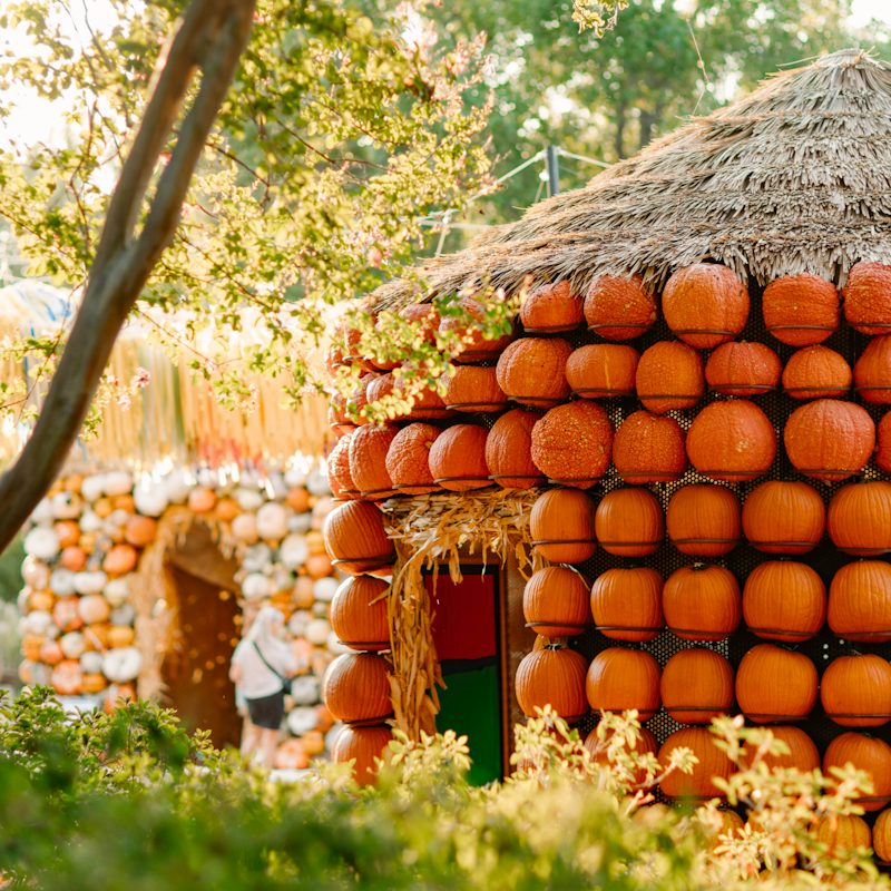 Autumn at the Arboretum — Dallas Arboretum and Botanical Garden · Sep 19-Nov 1