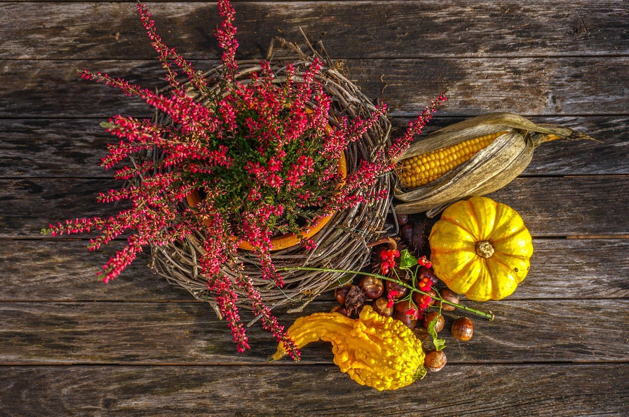 The Farm Woodbury — Fall Season