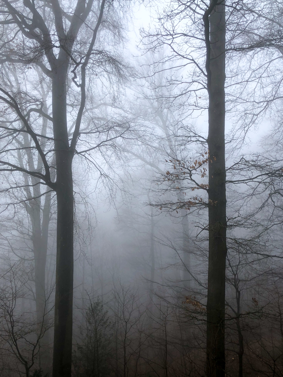 Haunted Yard On The Hill