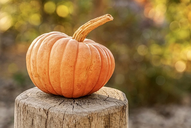 All Hallows' Eve at Ohio Village (Oct 17 and Oct 24, 2026, 5:30-9:30pm)