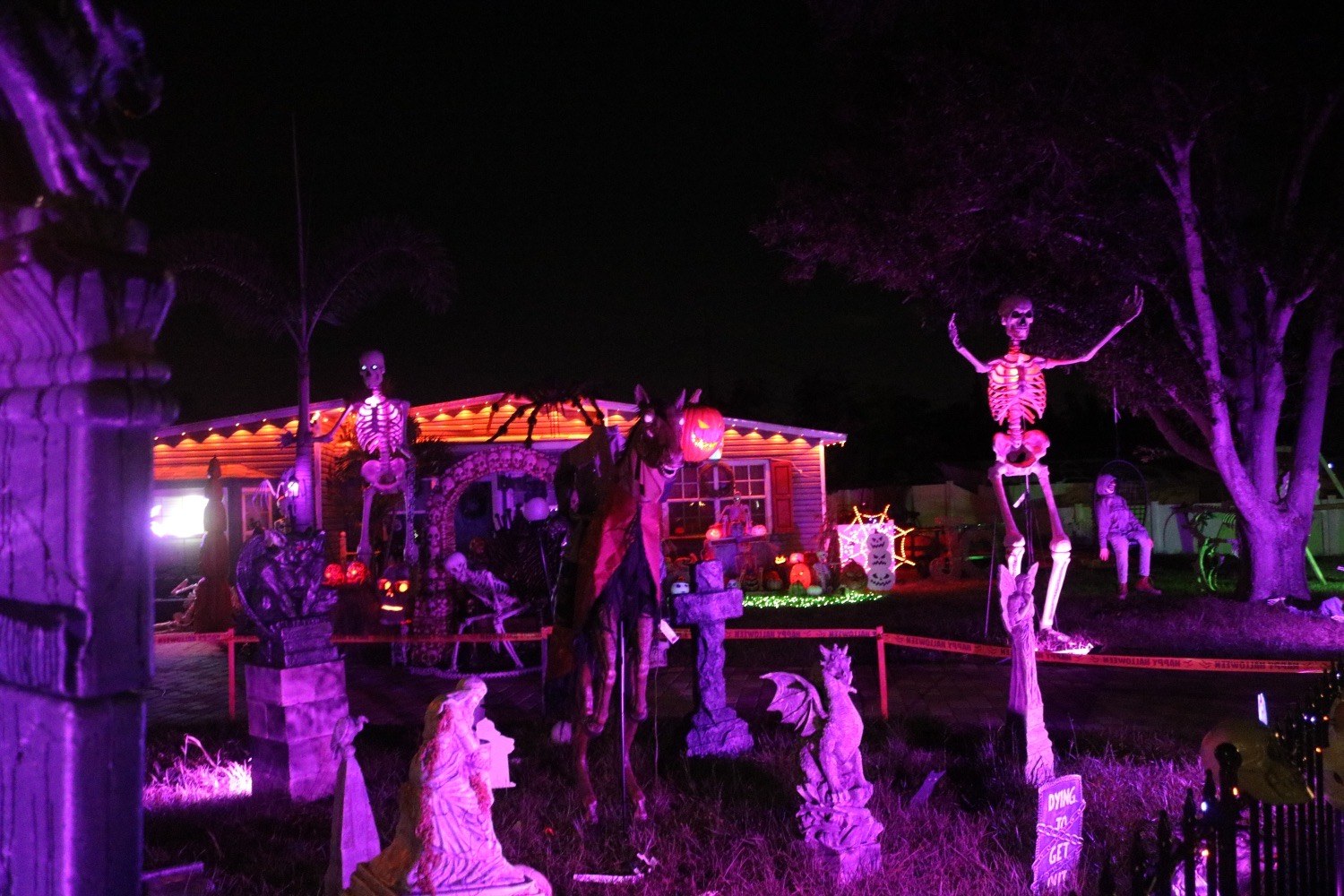 skeleton and graveyard
