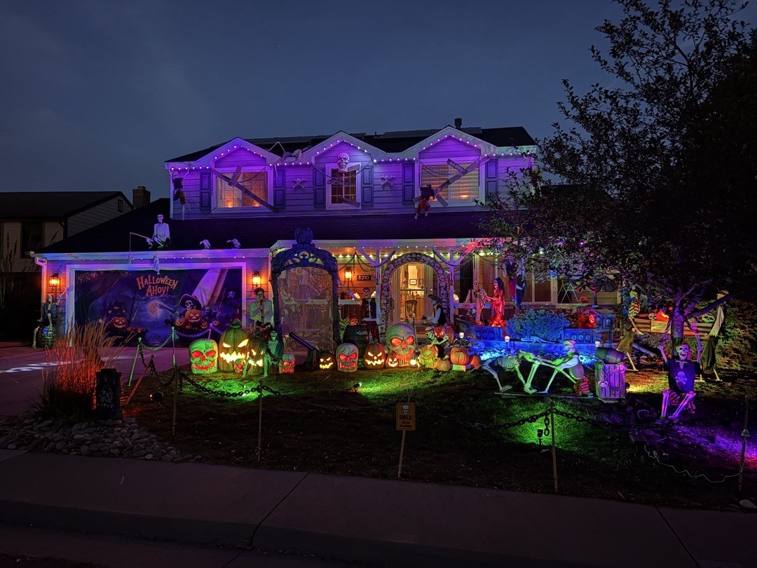 Pirates of Holland Court