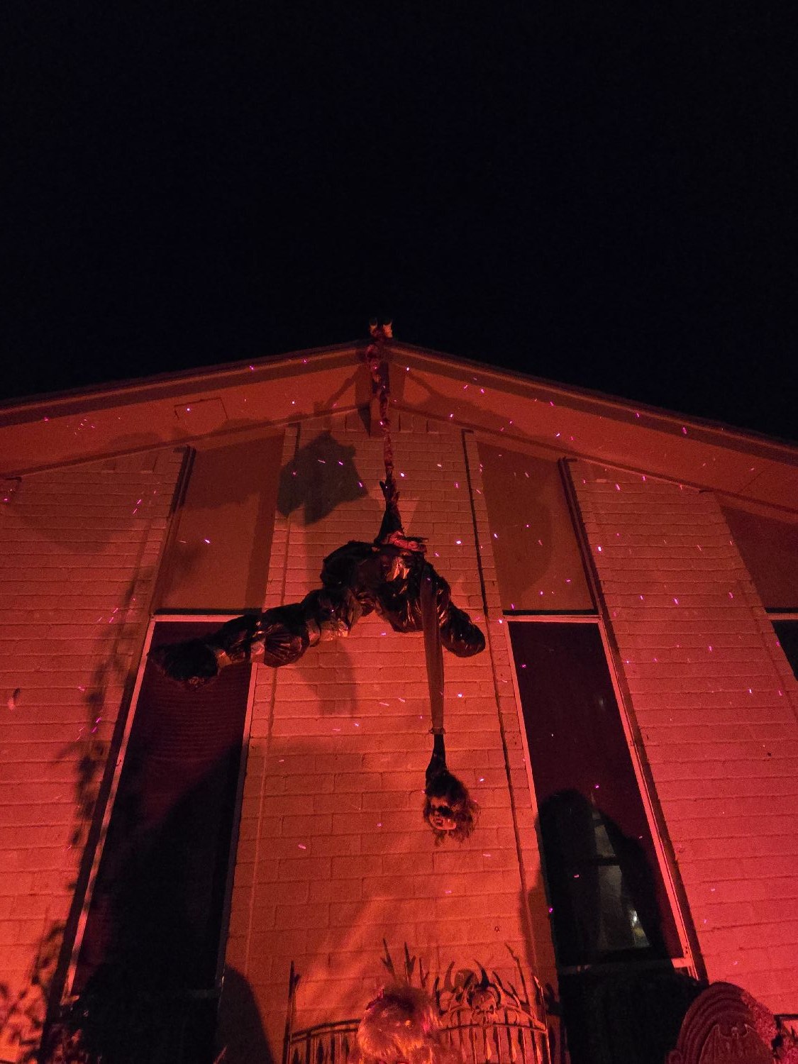 The Night The Dolls Woke Up