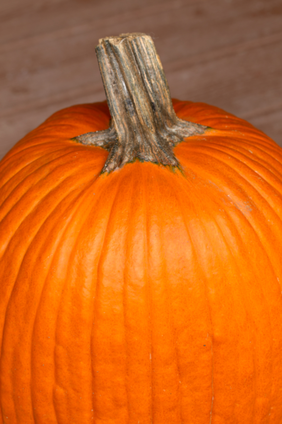 156 King Philip Road Halloween Display