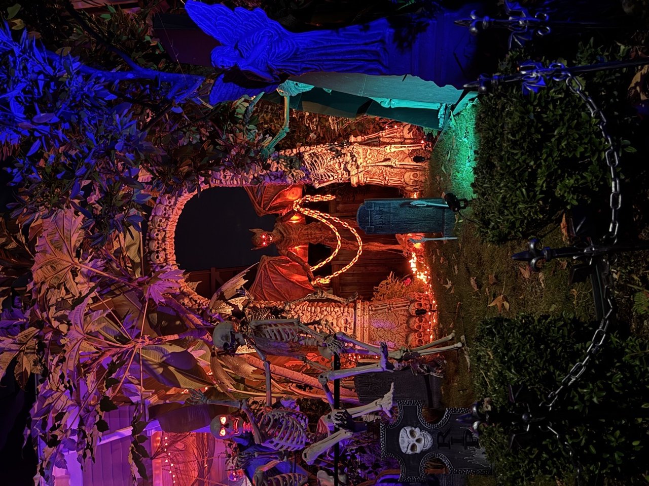 Creatures Of The Night