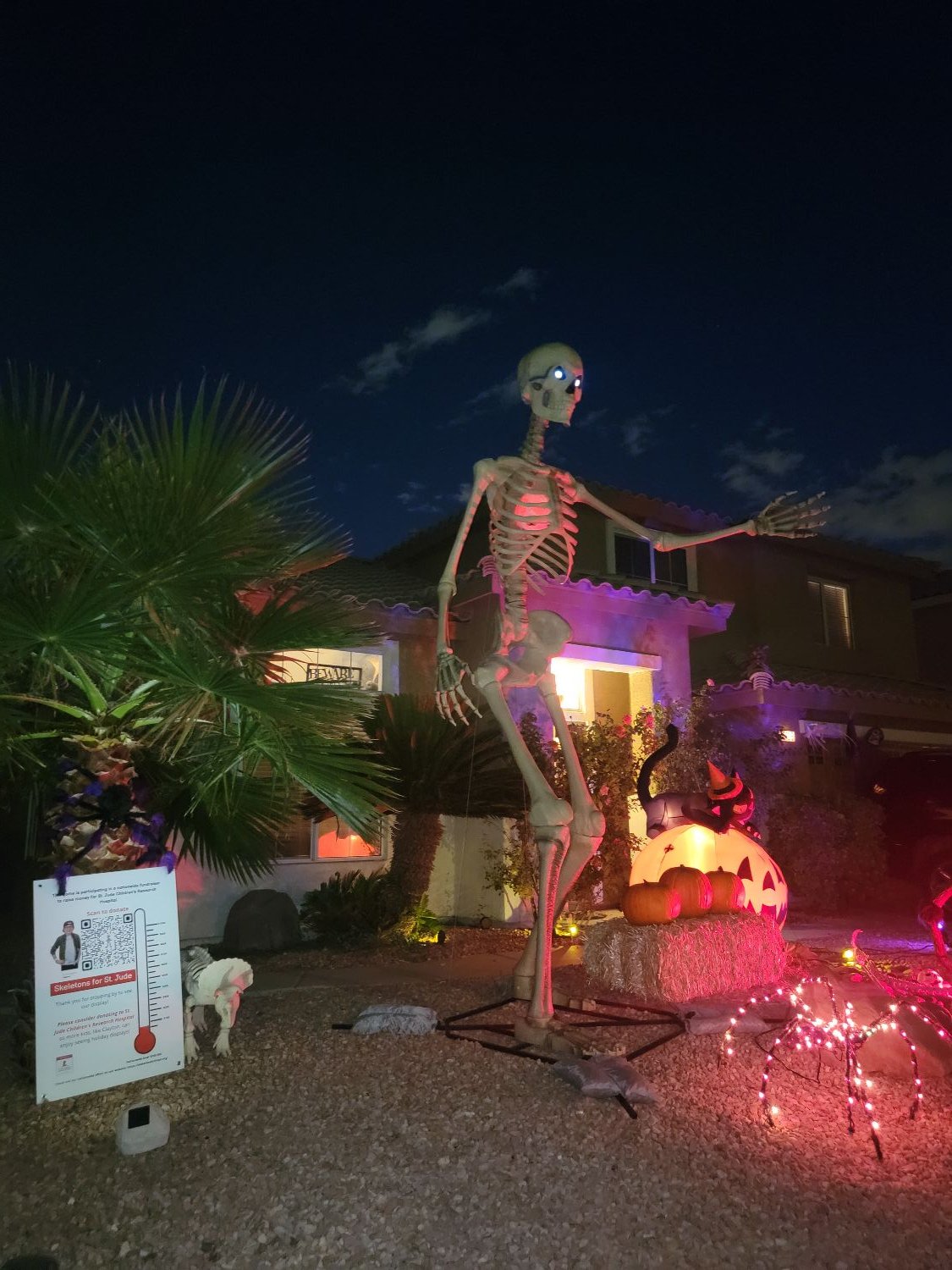 Spooky Skeleton of Las Vegas
