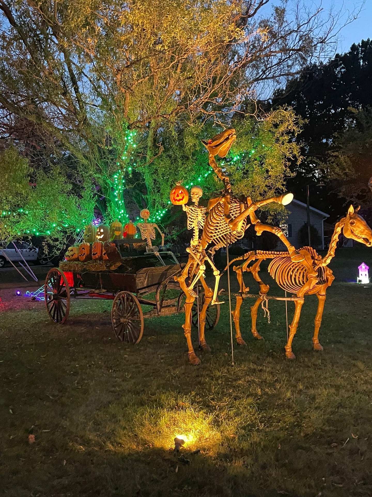 The Halloween Web