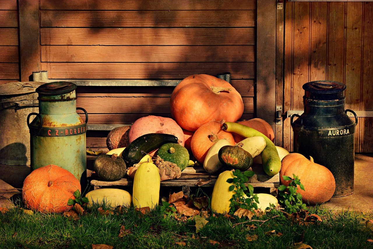 Nightmares at Liberty Ridge Farm