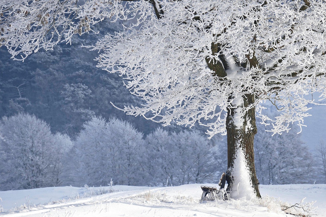 Just Simple Christmas