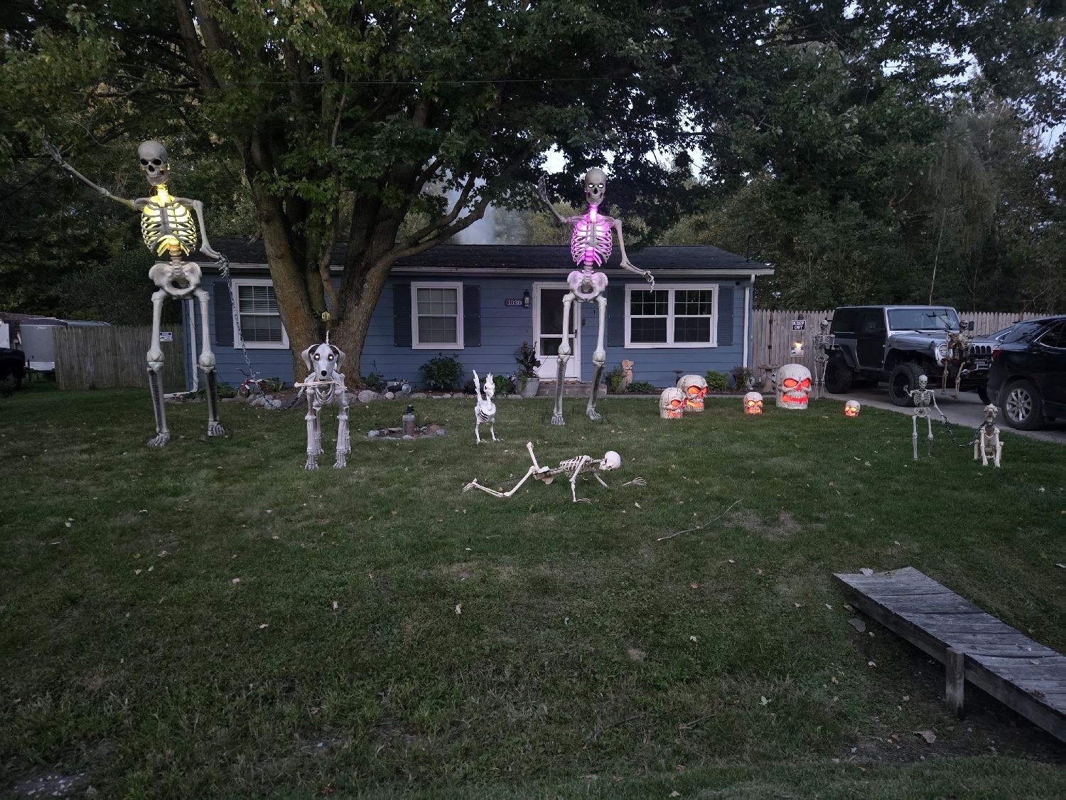 Mayer Skeletons 💀