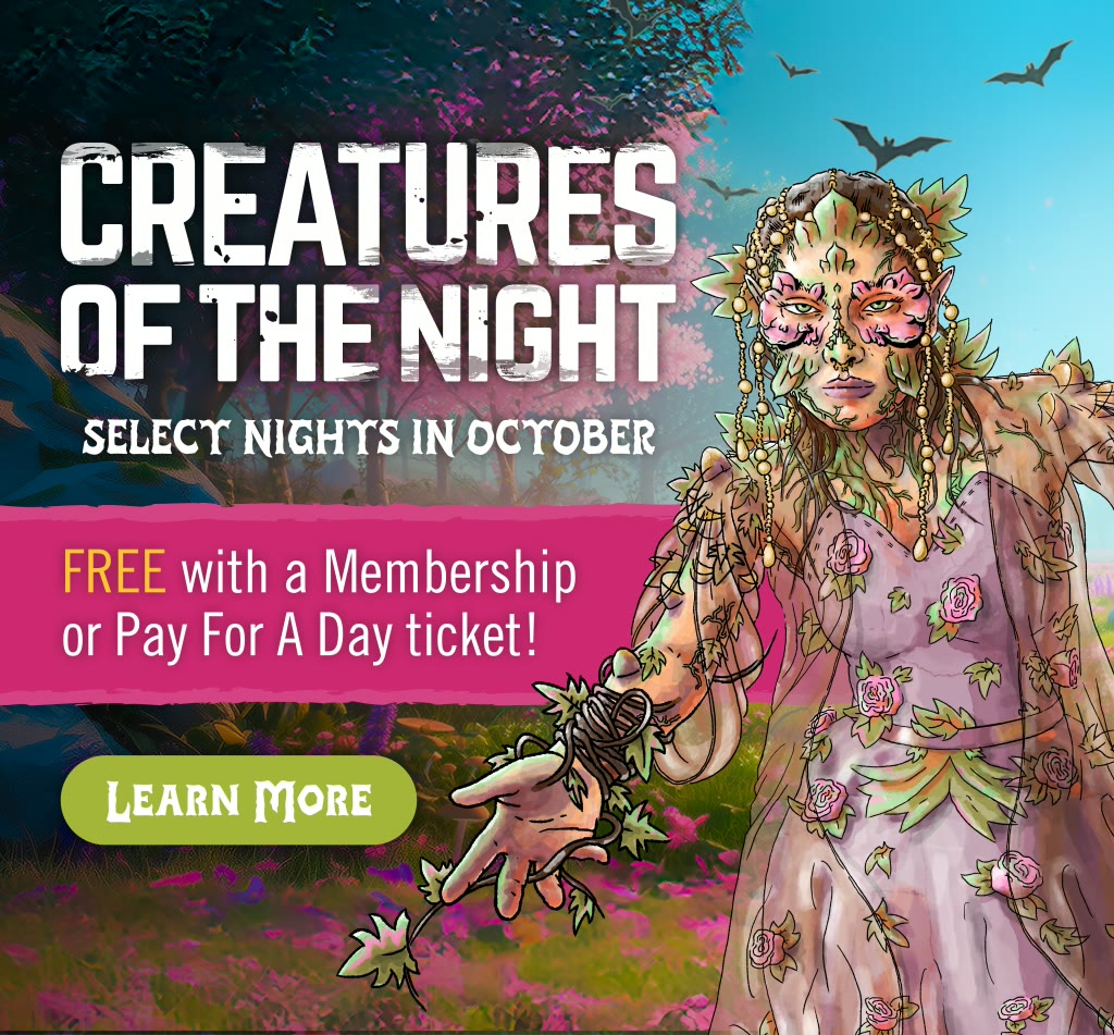 Creatures of the Night at ZooTampa — ZooTampa at Lowry Park · Oct 1-31
