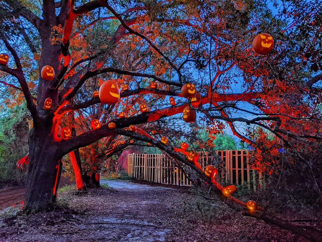 Sprial Hill Hollow — 3010 Penn Valley Avenue
