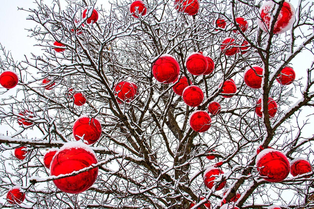 Maple Ave wonderland