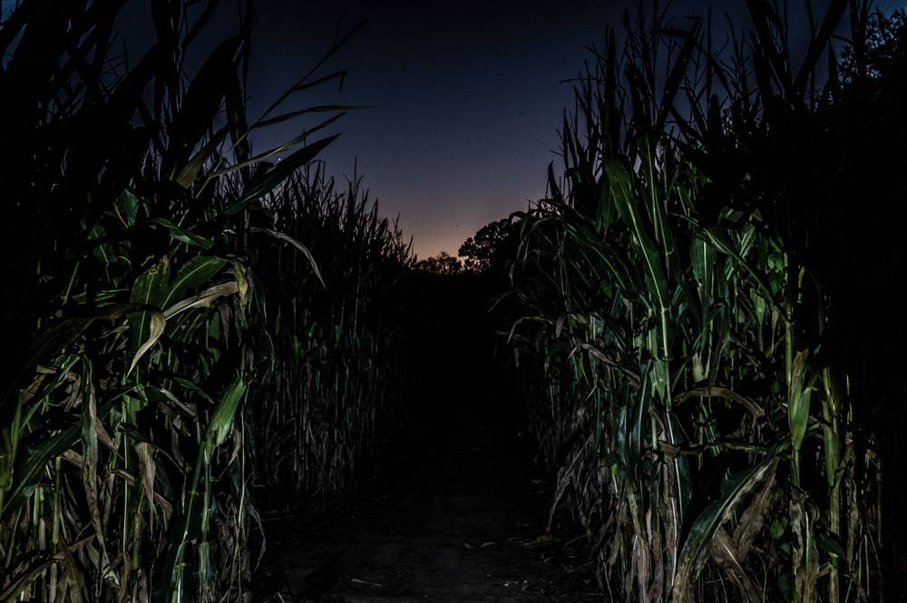 Thornbury Farms CSA Haunted Attraction — 1256 Thornbury Road