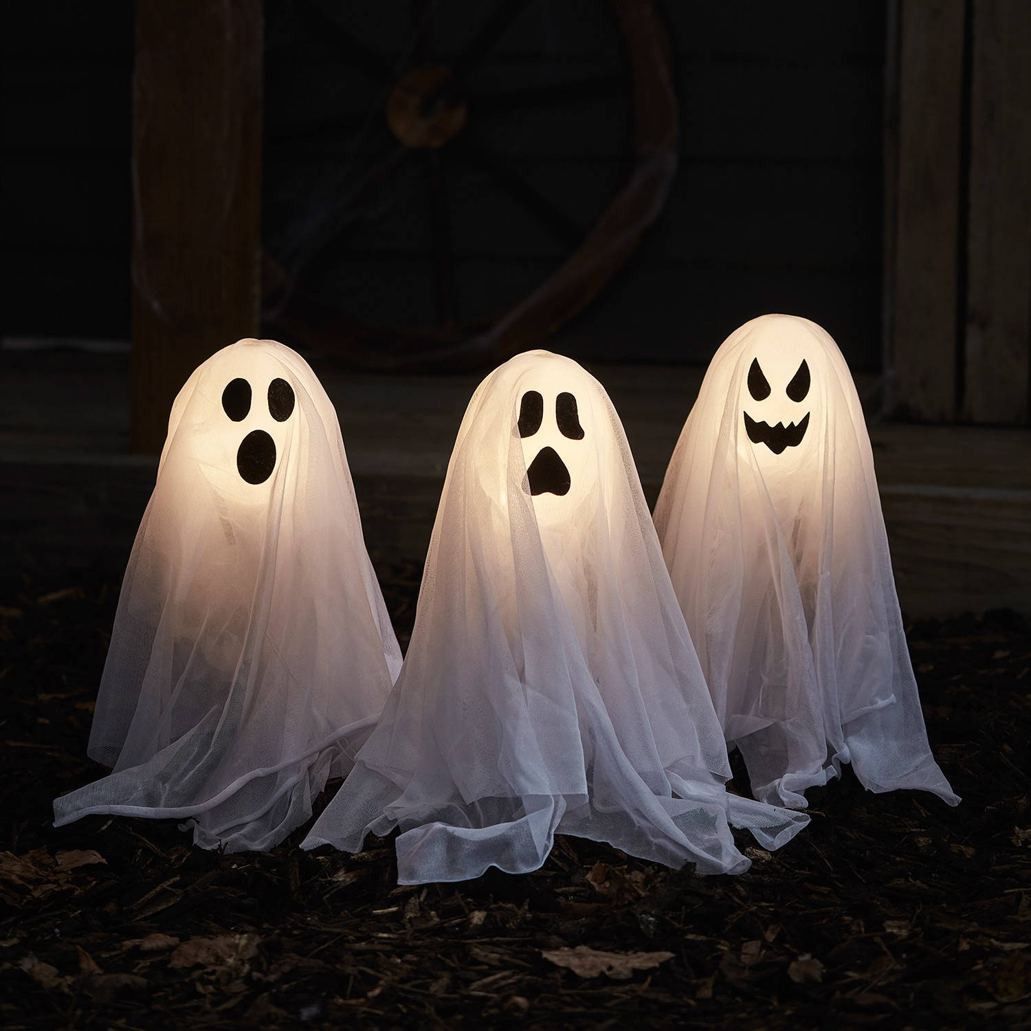 omniphobia Haunts — 407 Cornell Blvd.