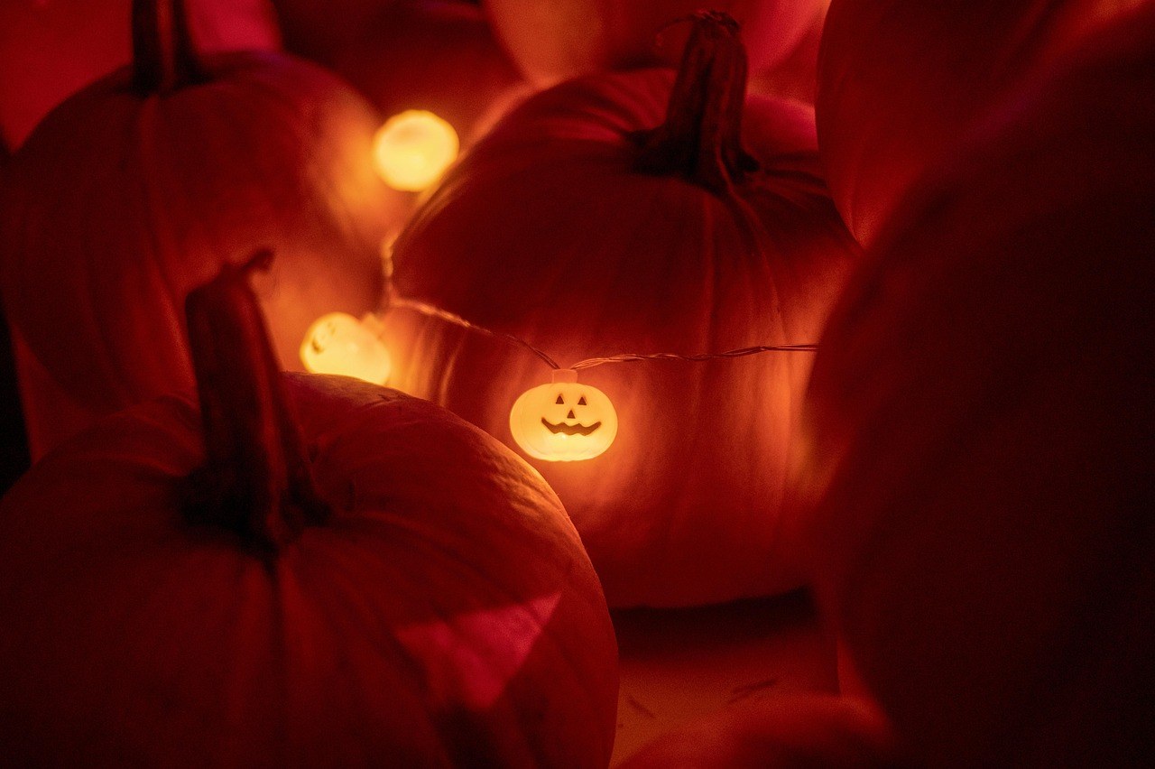 Chris' Farm Stand Pumpkin Festival