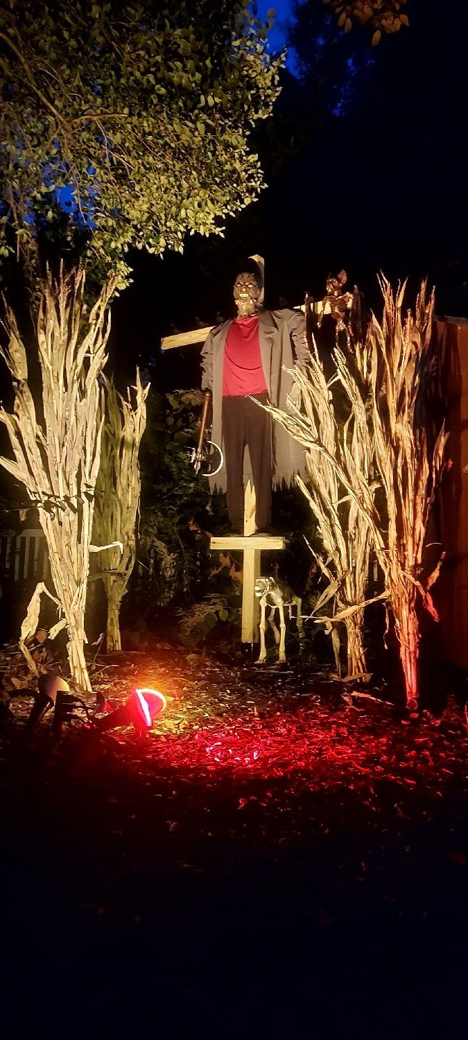 Halloween HOUSE