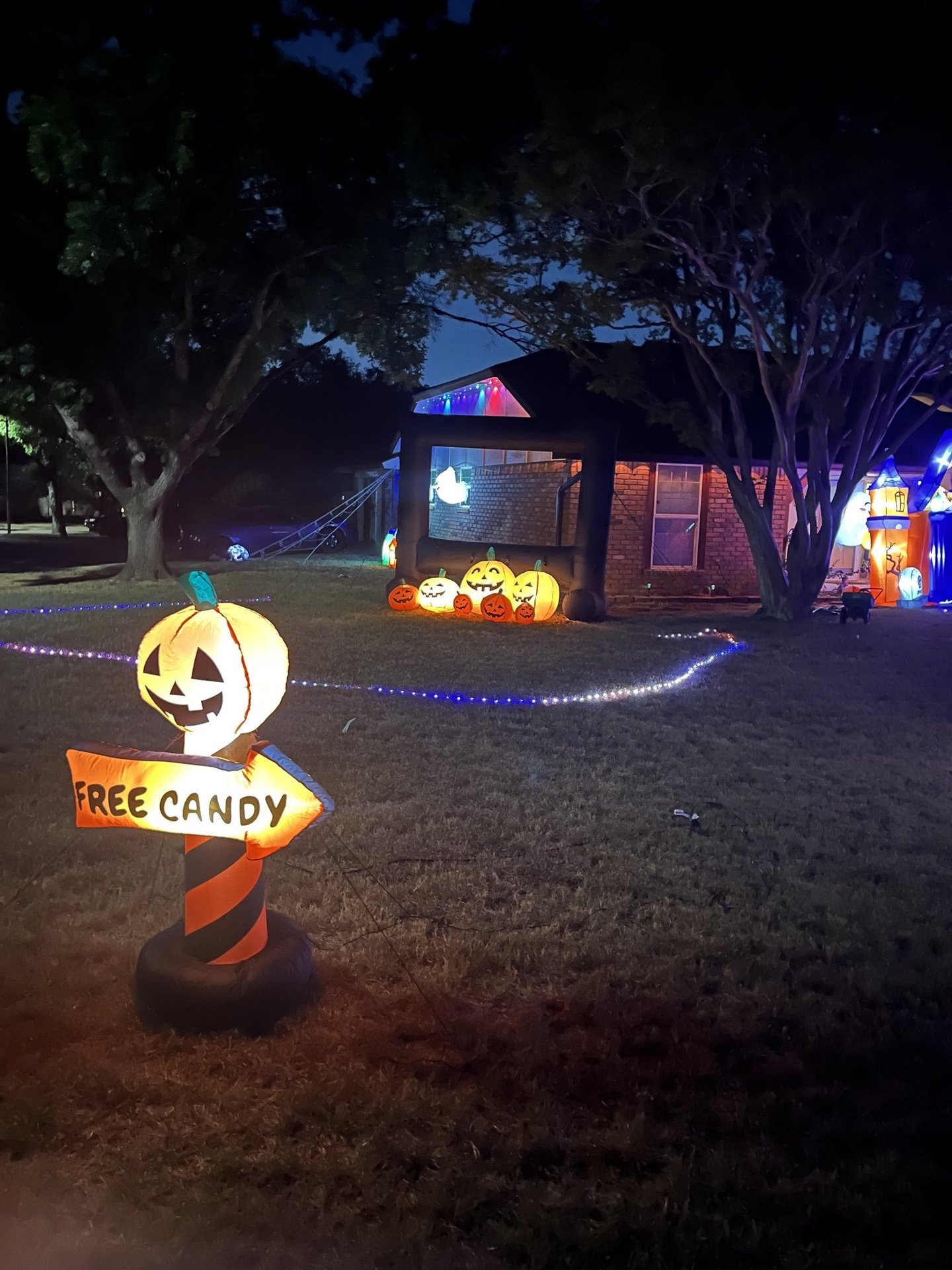 The Phillips Pumpkin Picture Show