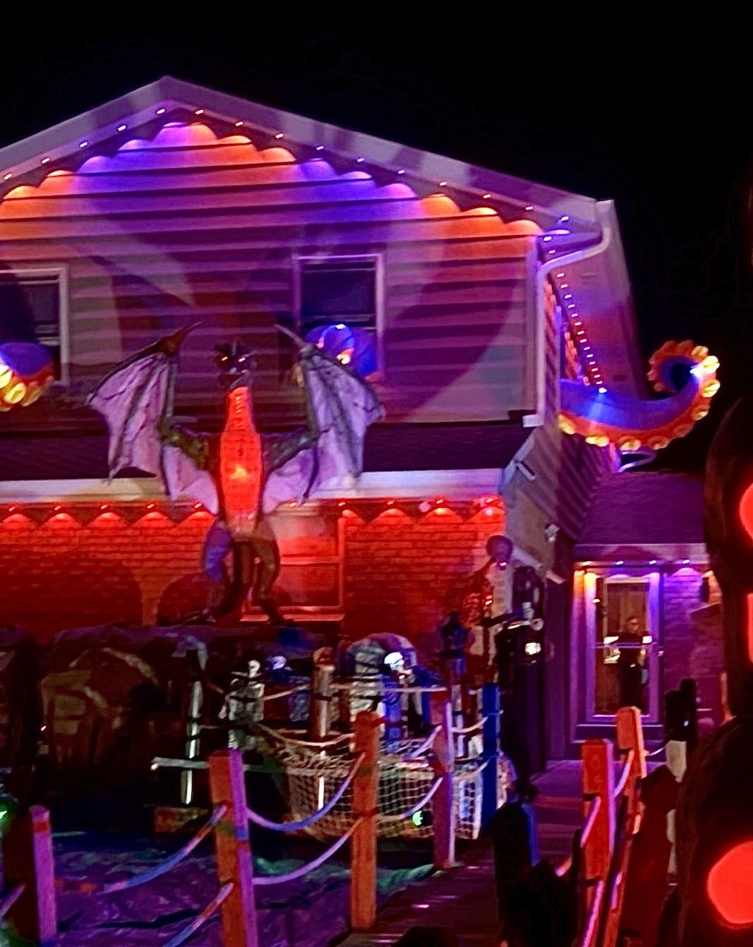 Witches and Webbing & Dragons and Docks