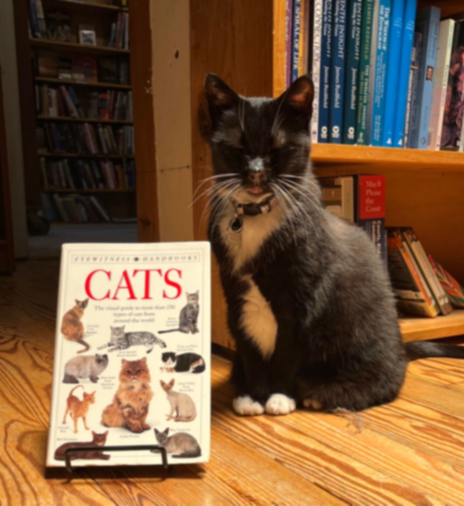 Shelf Life Books