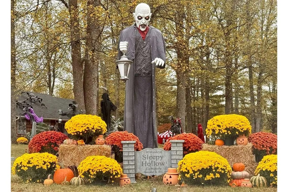 Raven's Hollow Haunted Woods