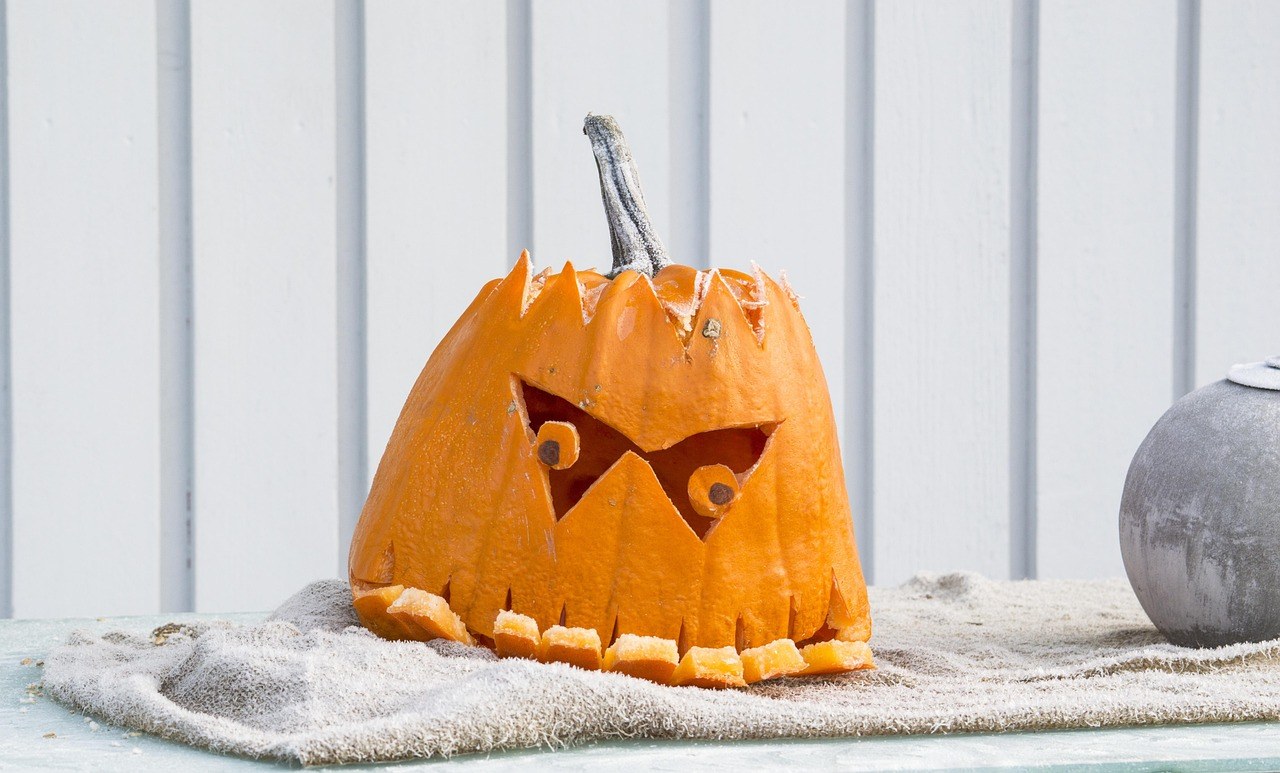 Sauchuk's Corn Maze & Pumpkin Patch — Weekends thru Oct 31