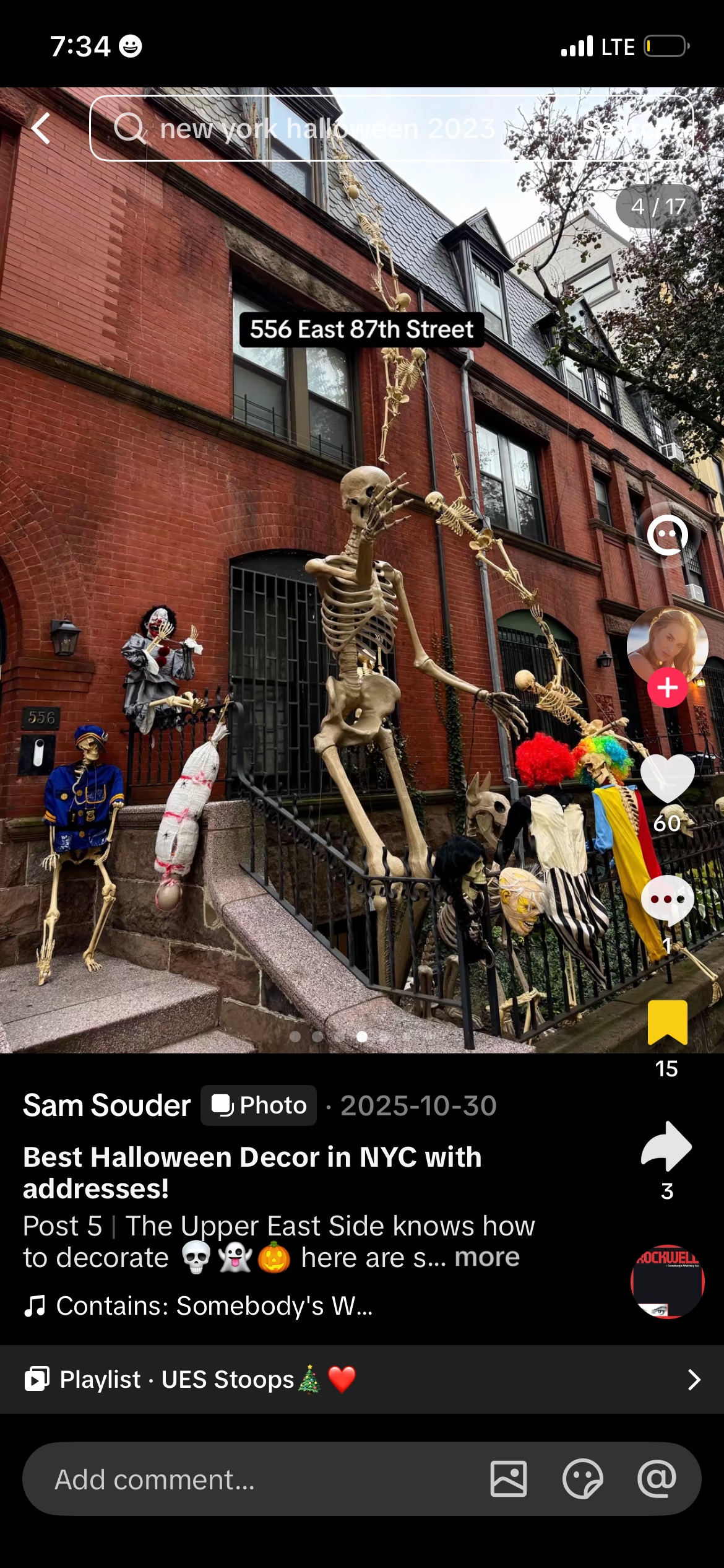 556 E 87th St Stoop Display