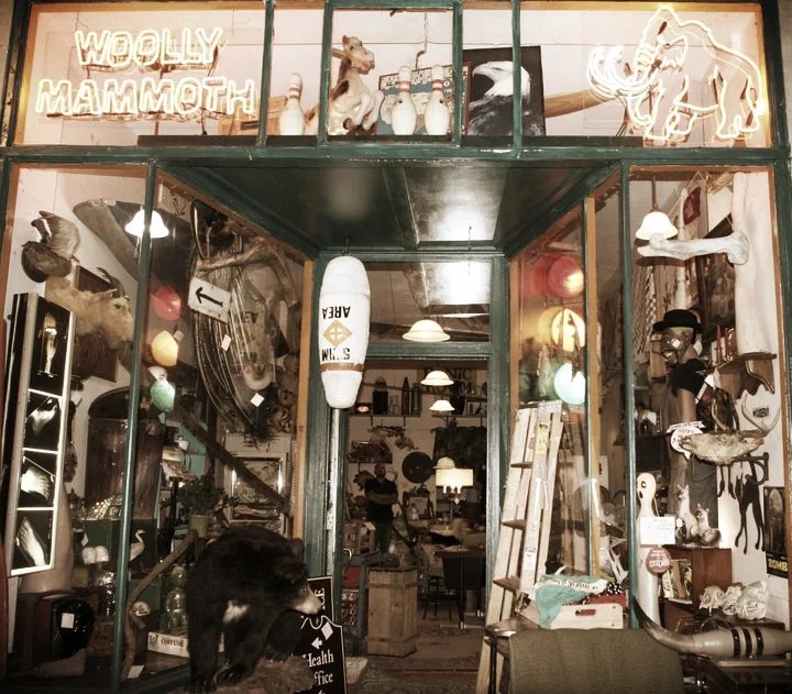 Woolly Mammoth Antiques and Oddities