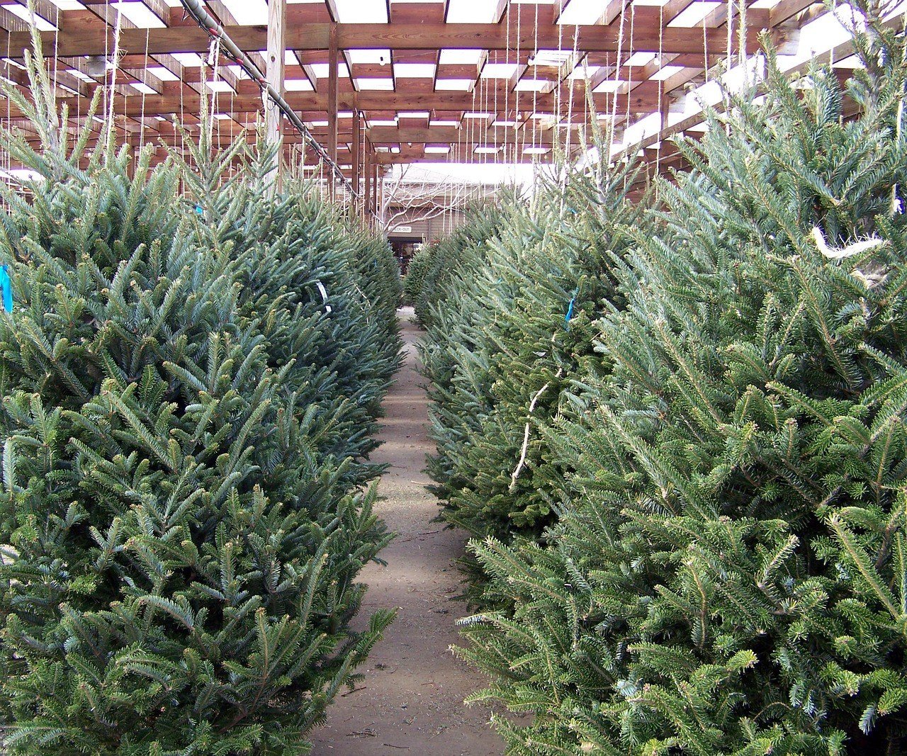 Santa’s Christmas World