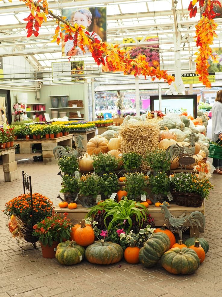 Hicks Nurseries Fall Festival — September 12 – November 1, 2026