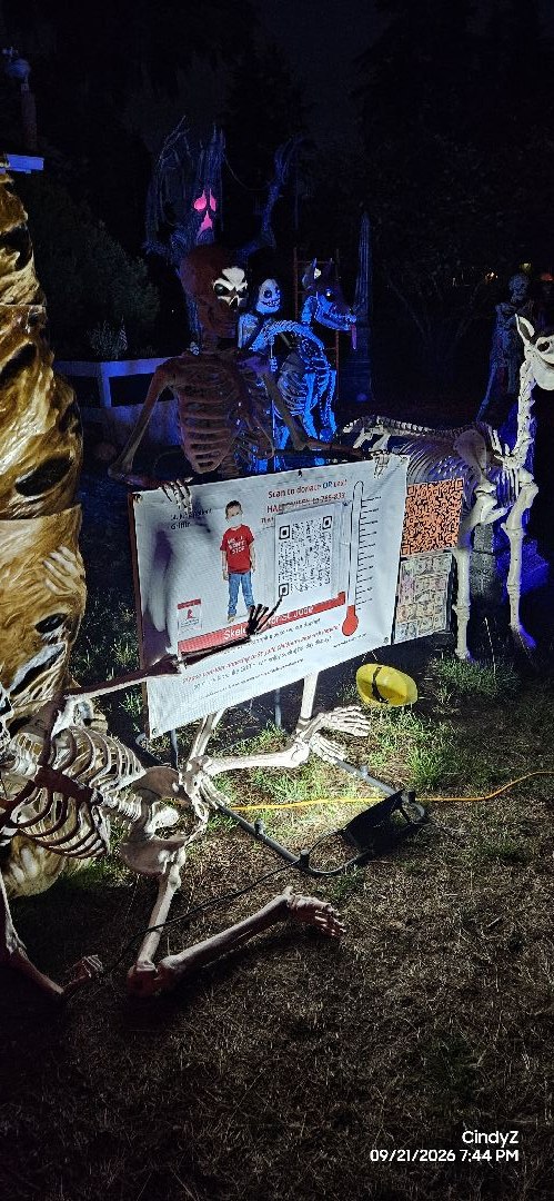 Scully's Necropolis.