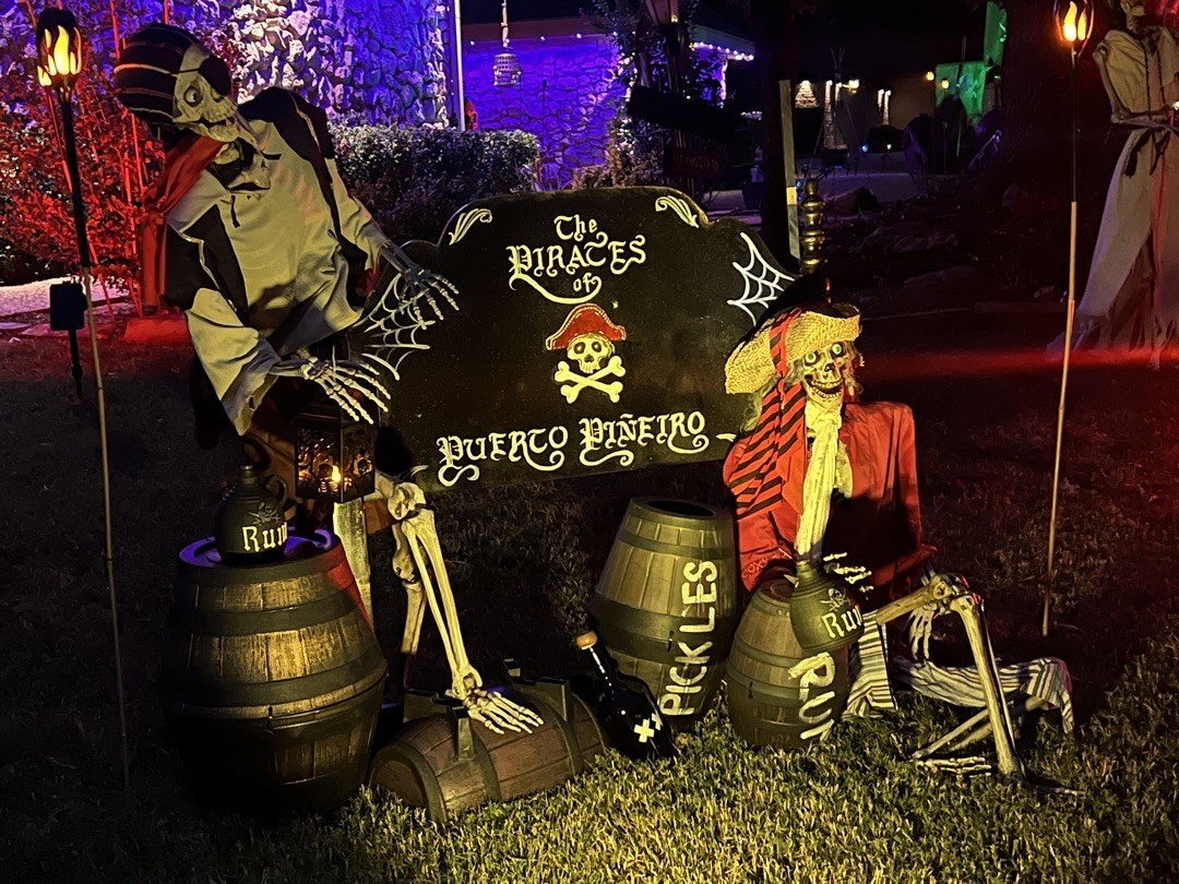 The Pirates Of Puerto Piñeiro