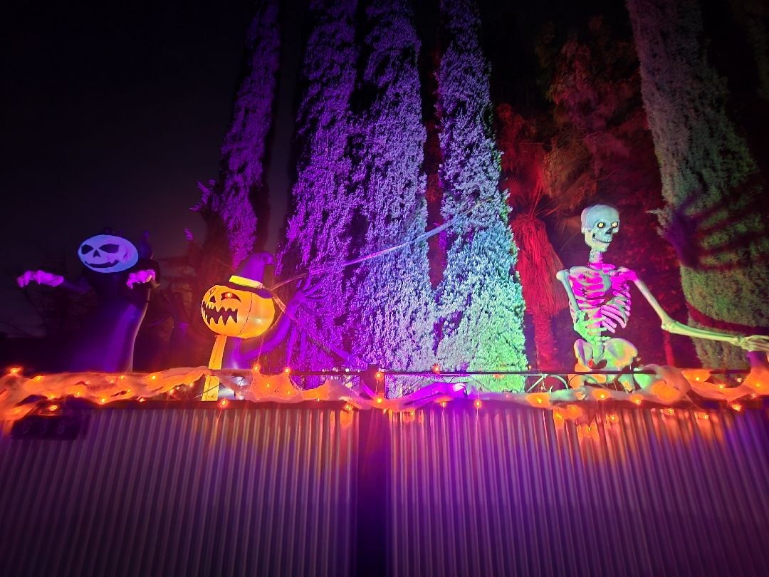The Singing Bones