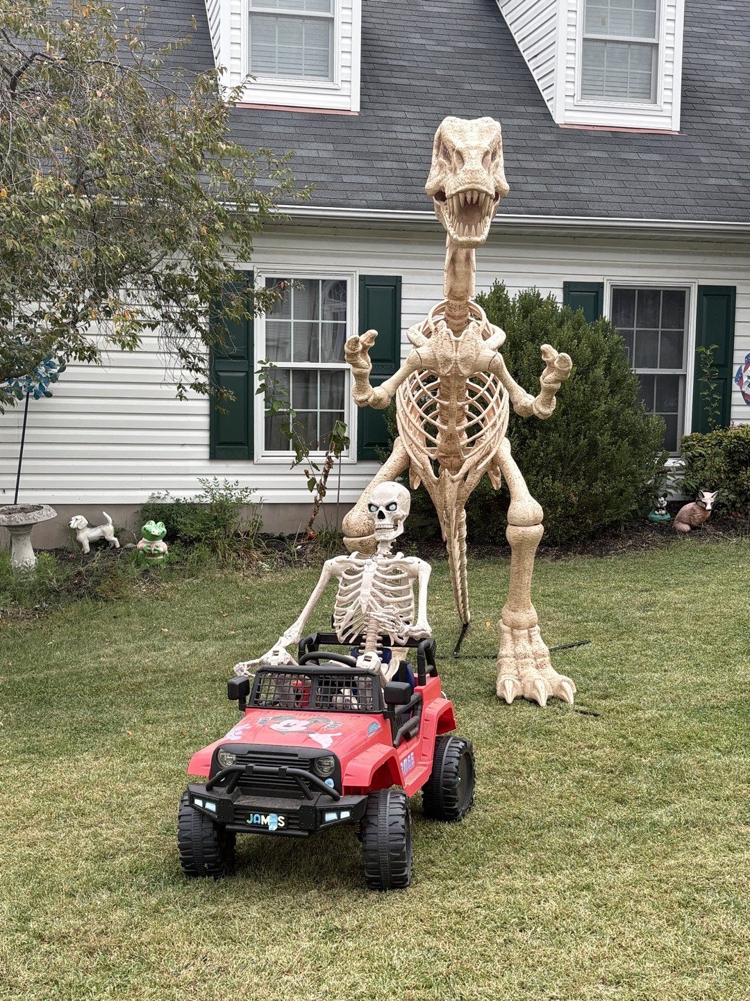Freaky Yard