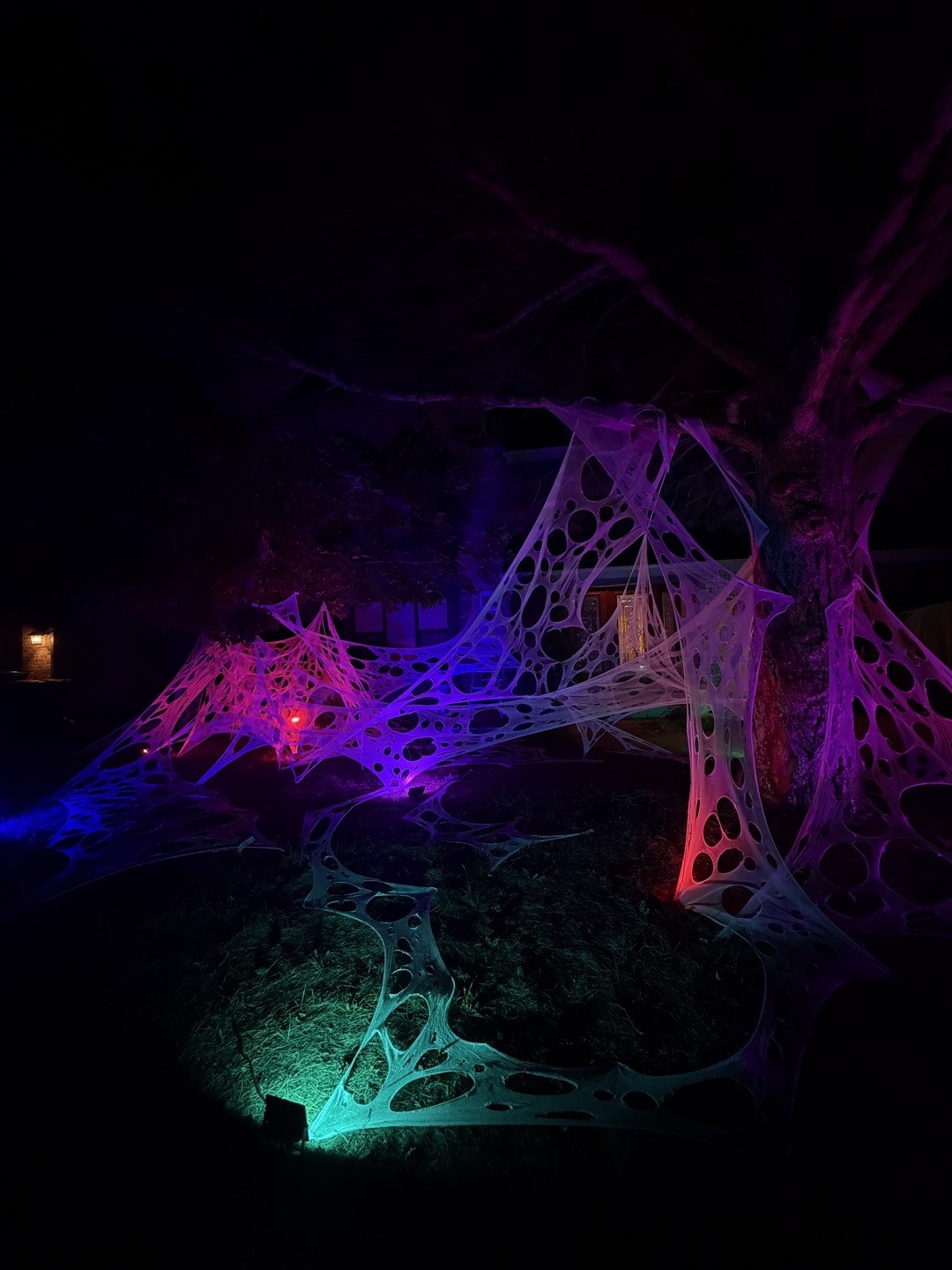 The Weaver's Yard