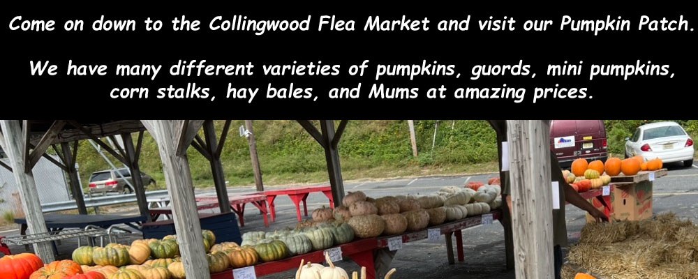 Collingwood Auction & Flea Market — Farmingdale, NJ · Fridays, Sat & Sun, 8 AM–5 PM, year-round