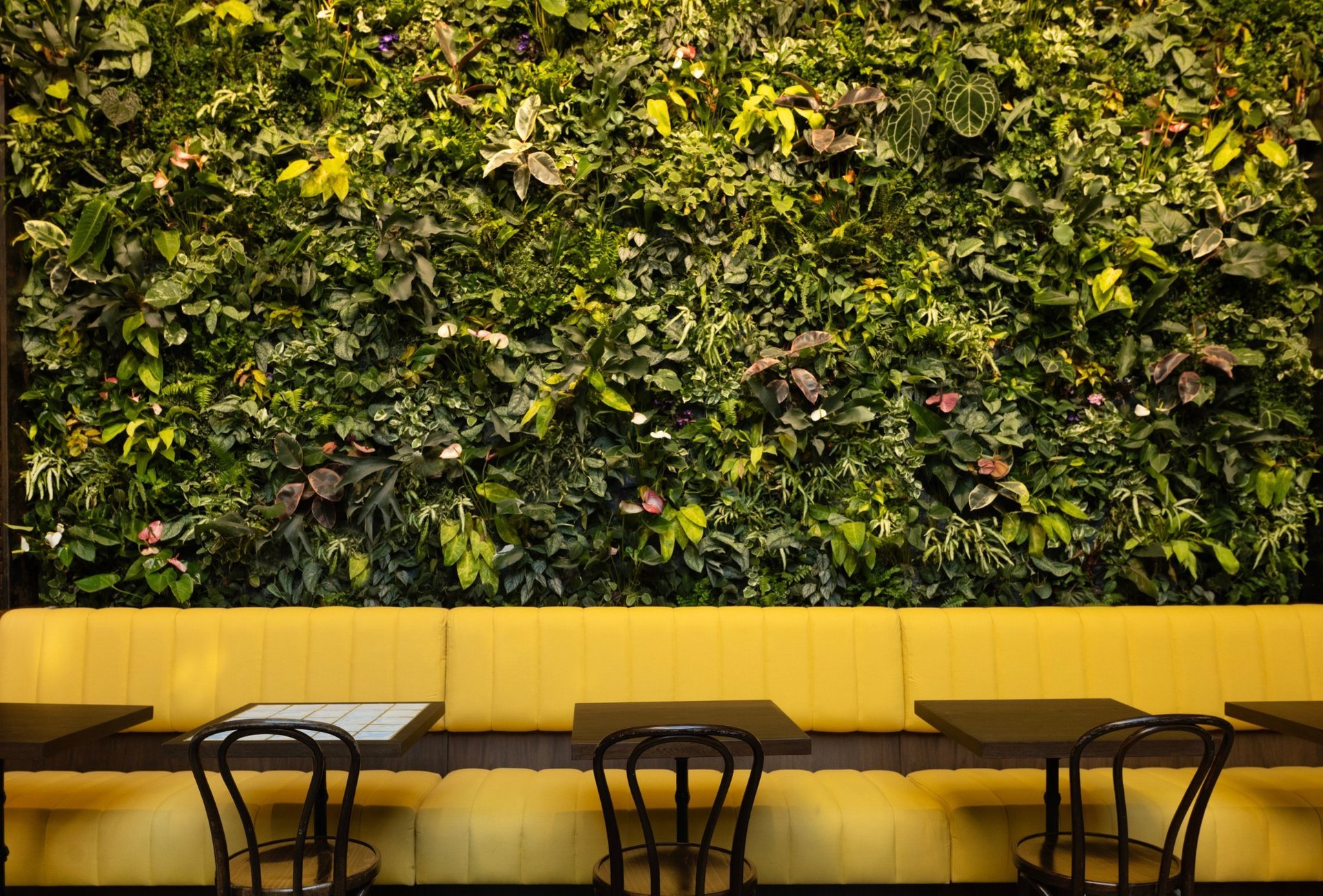 Devoción — Farm-Fresh Coffee, Williamsburg