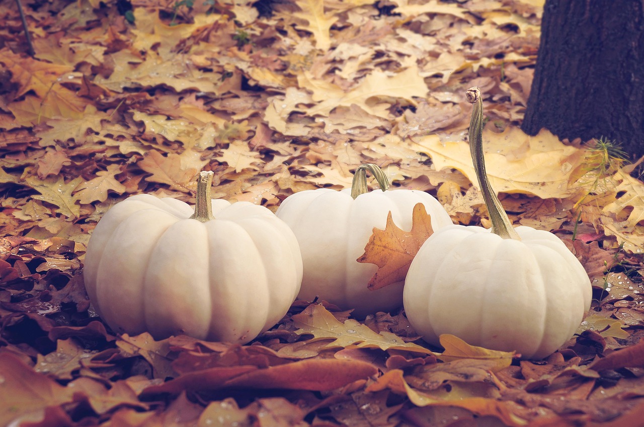 Halloween Costume Parades at Clark's Elioak Farm (Oct 24 to Oct 25)