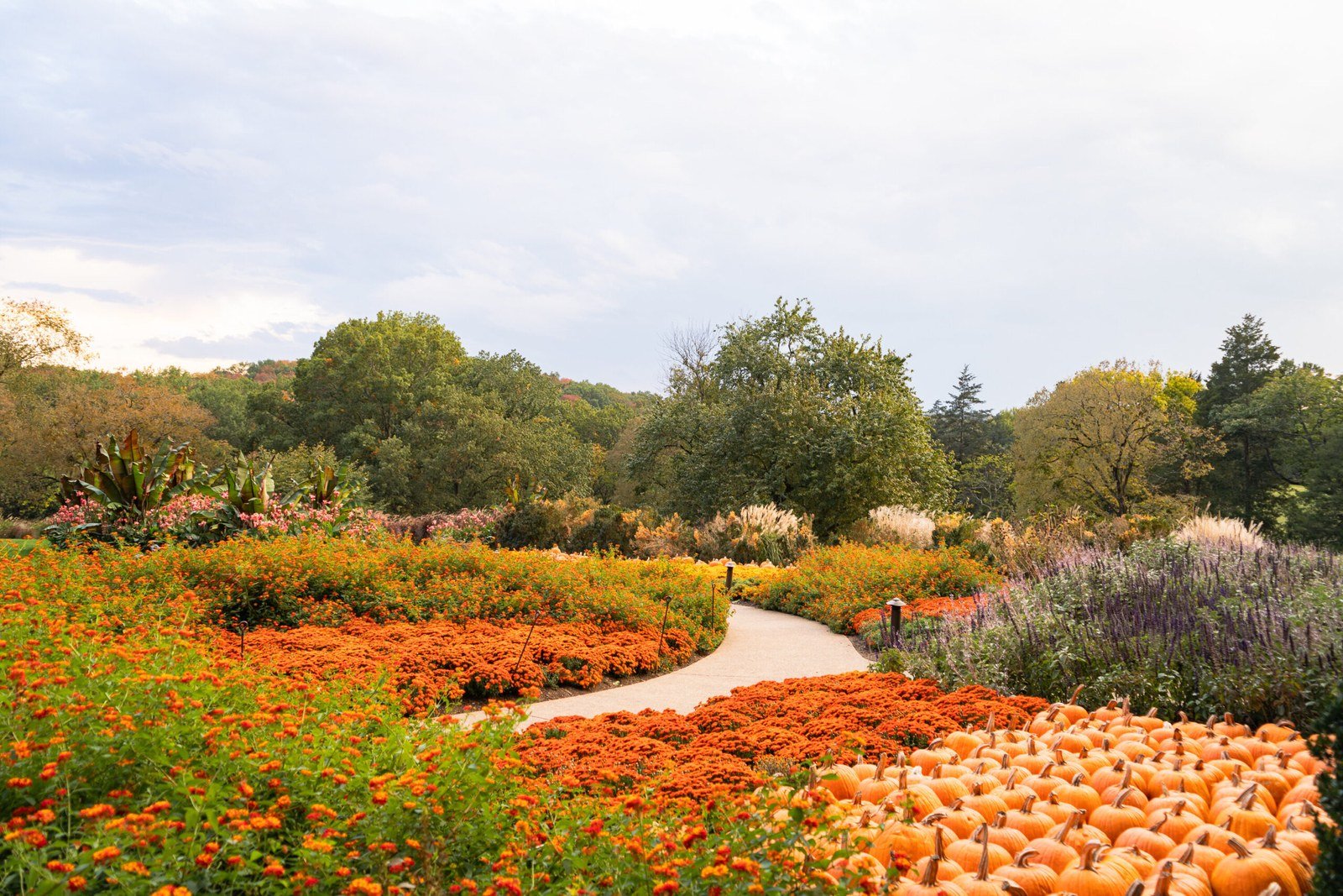Halloween Pooch Party — Cheekwood · Oct 24–25