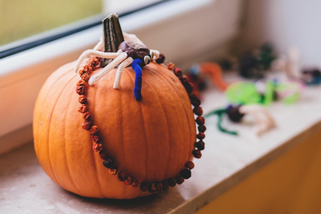 Kingdom Corn Maze — Fall Season
