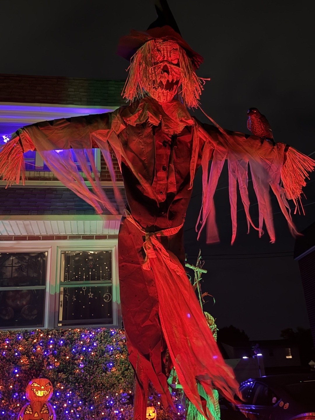 Scarecrow/Pumpkin patch