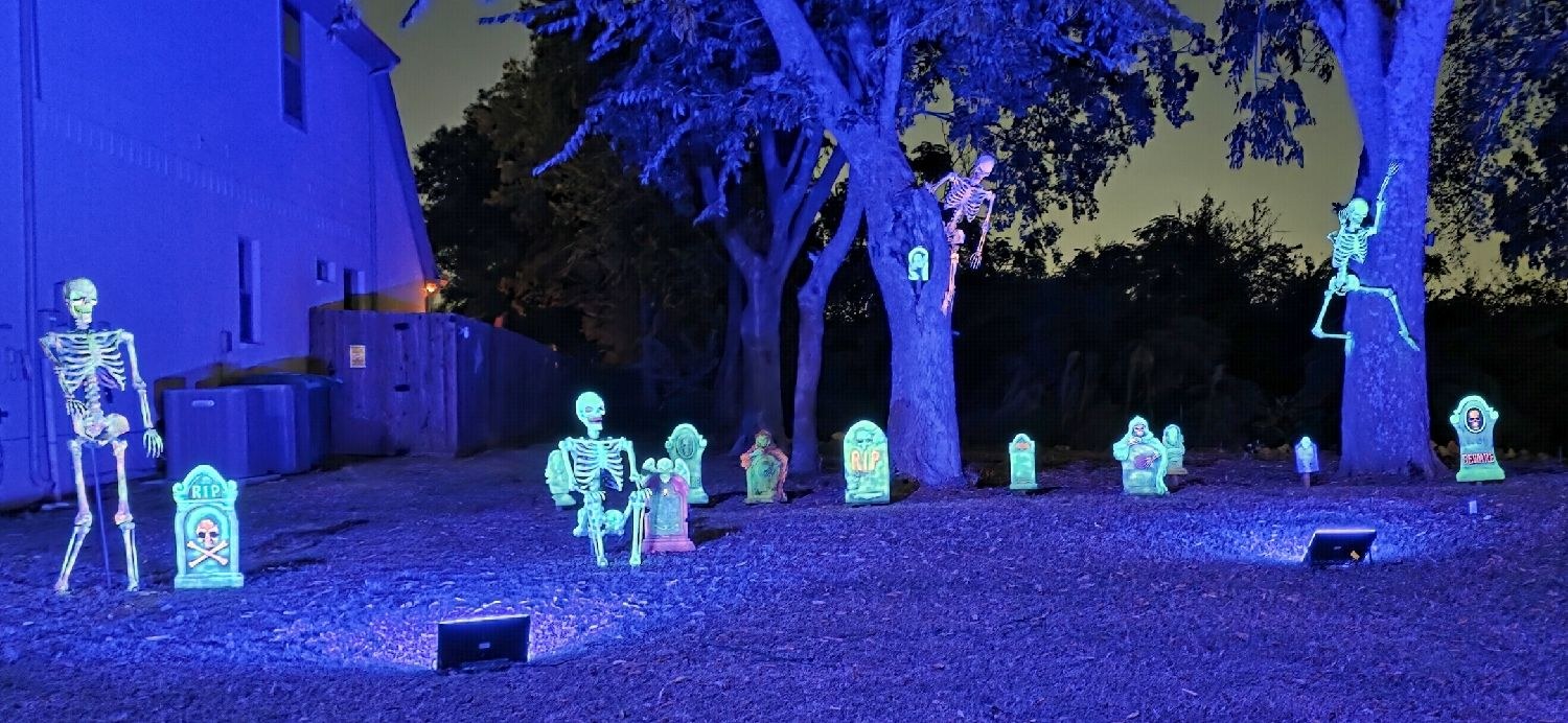 The Bone Yard Year 3